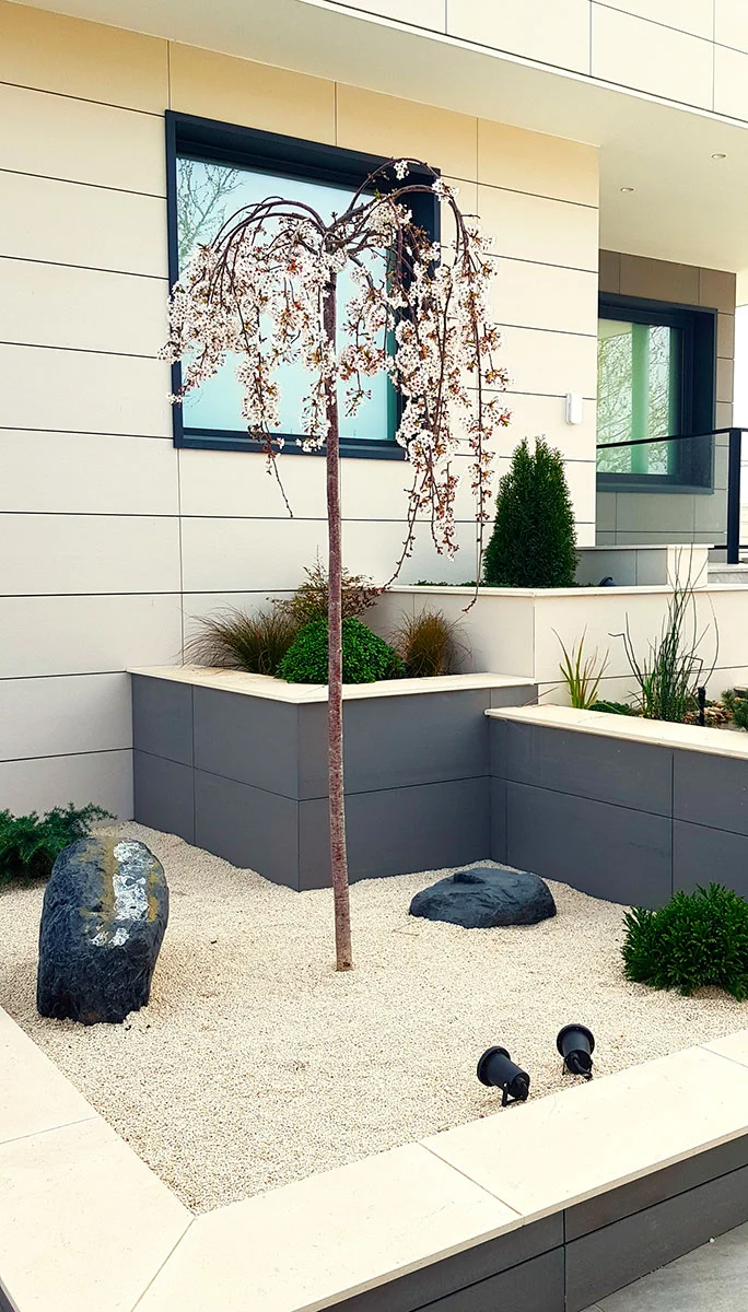 Proyecto-oriental-Hanami-7.3