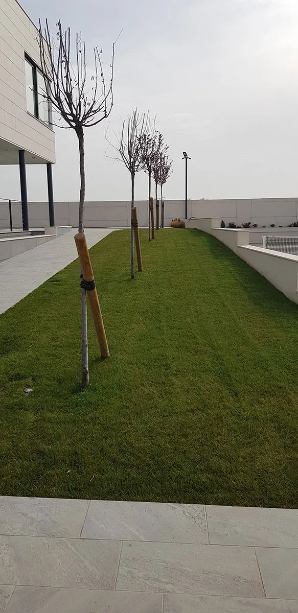 Proyecto-oriental-Hanami-7.8