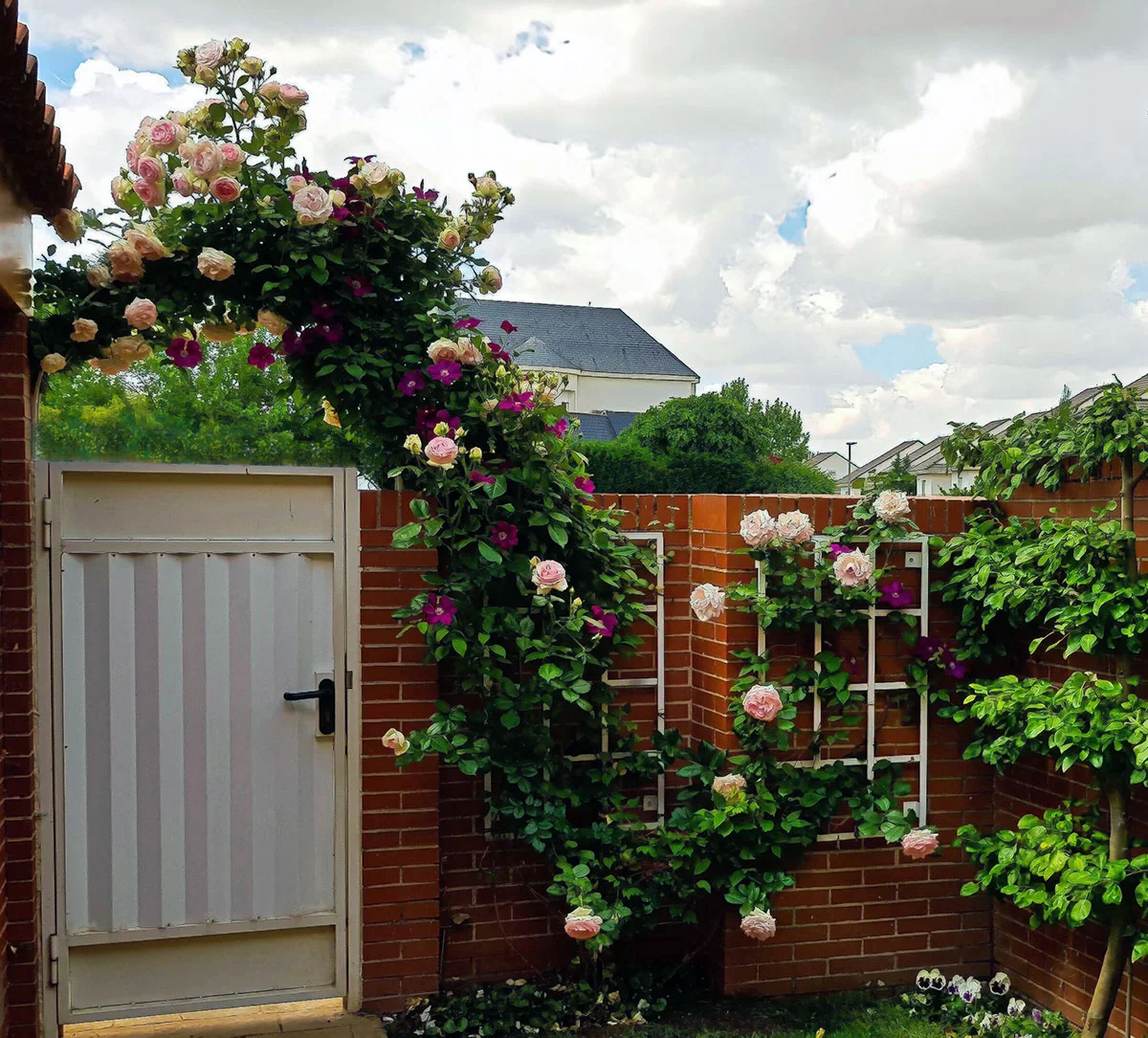 Proyecto-rosales-hanami-jardineria1