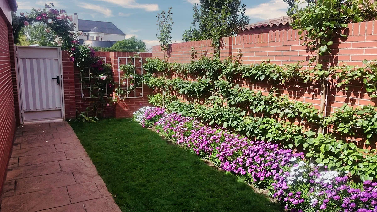 Proyecto-rosales-hanami-jardineria4