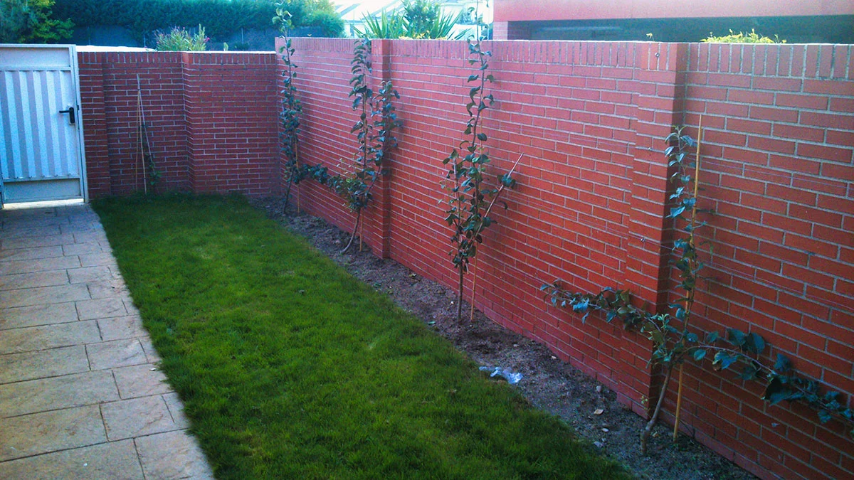 Proyecto-rosales-hanami-jardineria5