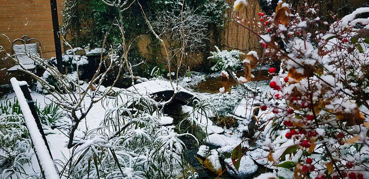 jardin-estilo-oriental-5