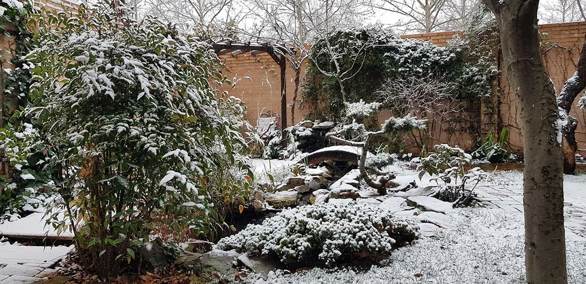 jardin-estilo-oriental-6